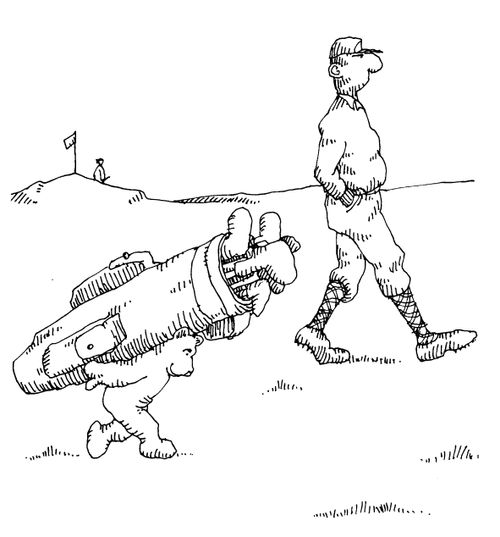 Teddy golf caddy