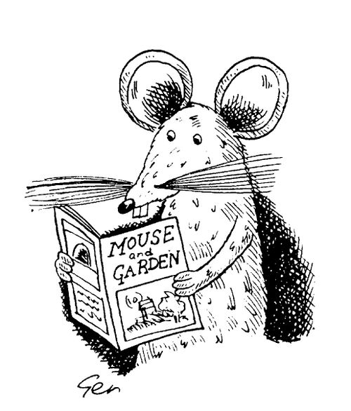 Mouse reading magazine, "Mouse and garden"