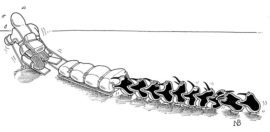 Penguins Hitching on Sled