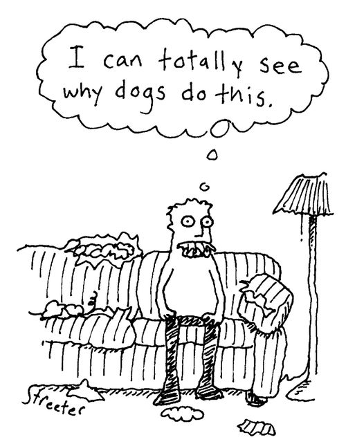 "I can totally see why dogs do this."
