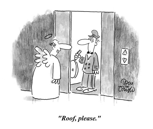 "Roof, please."