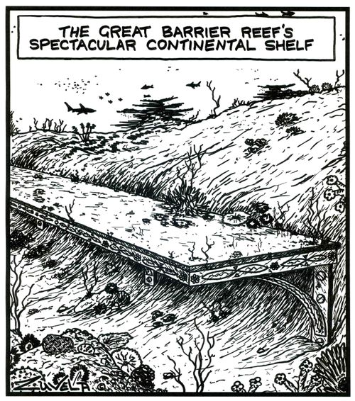 The Great Barrier Reef's spectacular continental shelf.