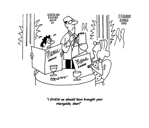 'I knew we should have brought your Marigolds, dear!'