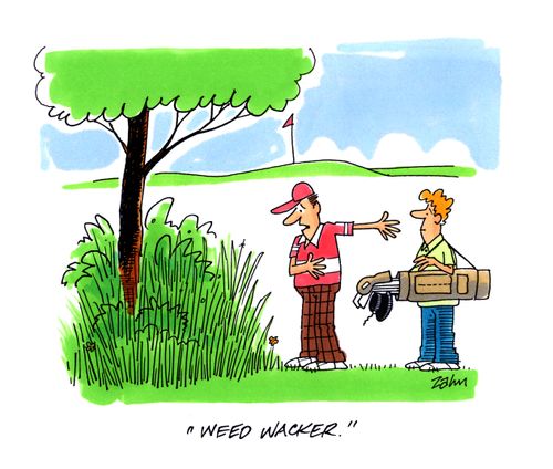 'Weed wacker.'