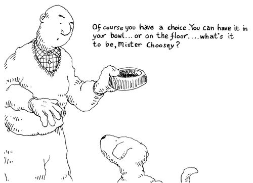'Of course you have a choice. You can have it in your bowl...or on the floor...what's it to be, Mister Choosey?'