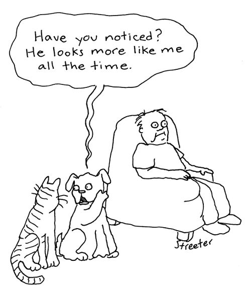 Dog: "Have you noticed? He looks more like me all the time."