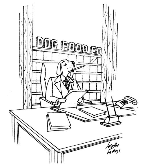 Dog Food Co.