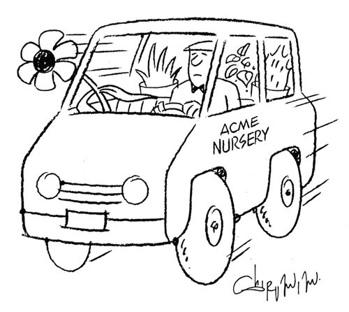 Car with flowers inside