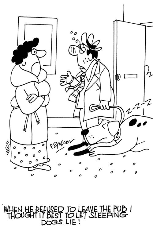 'When he refused to leave the pub I thought it best to let sleeping dogs lie.'