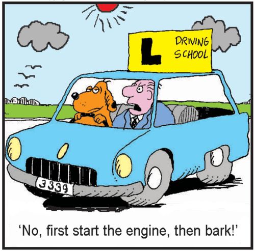 'No, first start the engine, then bark!'