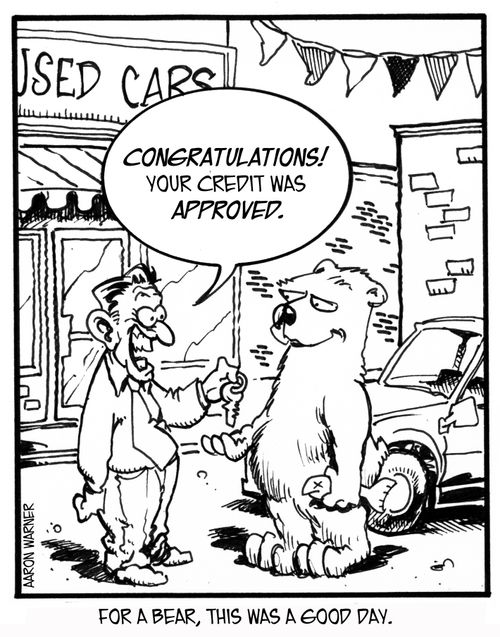 For a bear, this was a good day. 'Congratulations! Your credit was approved.'