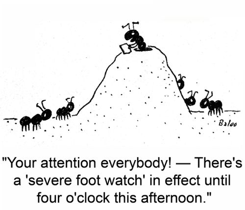 'Your attention everybody! -- There's a 'severe foot watch' in effect until four o'clock this afternoon.'