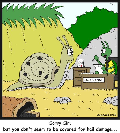 'Sorry Sir, but you don't seem to be covered for hail damage...'