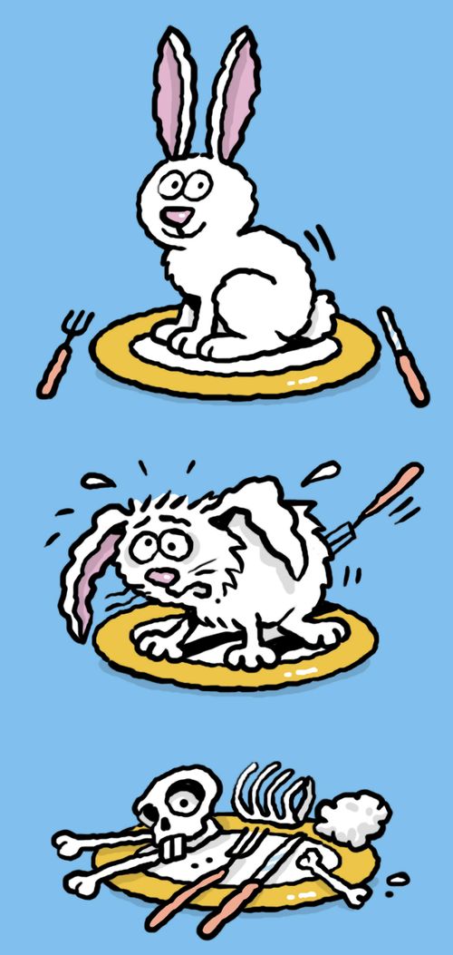 Rabbit being eaten.