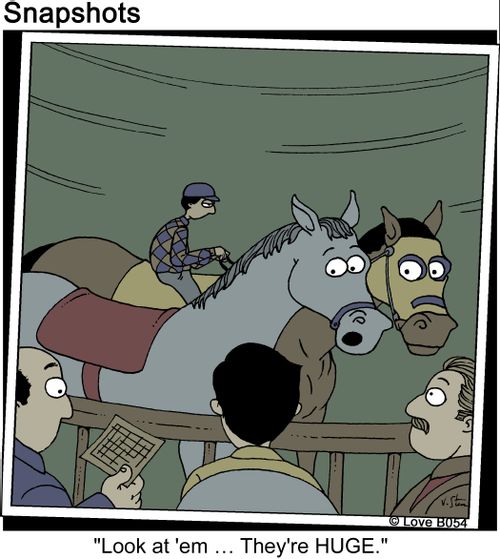 'Look at'em... They're HUGE.'