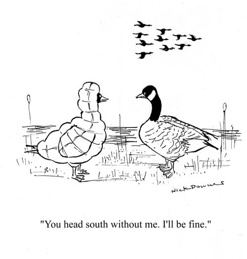 'You head south without me. I'll be fine.'