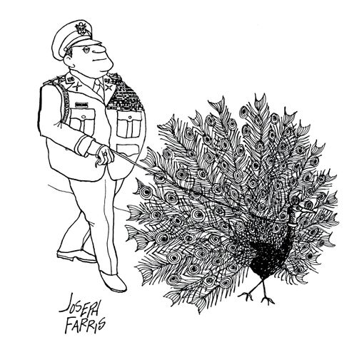 Soldier Walking Peacock.