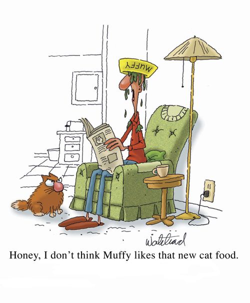 "Honey I don't think Muffy likes that new cat food."