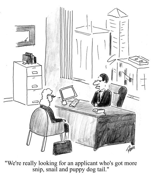 'We're really looking for an applicant who's got more snip, snail and puppy dog tail.'