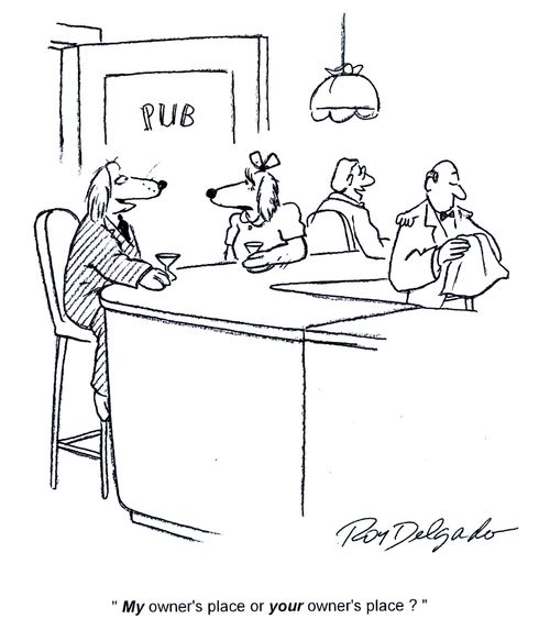 'My owner's place or your owner's place?'