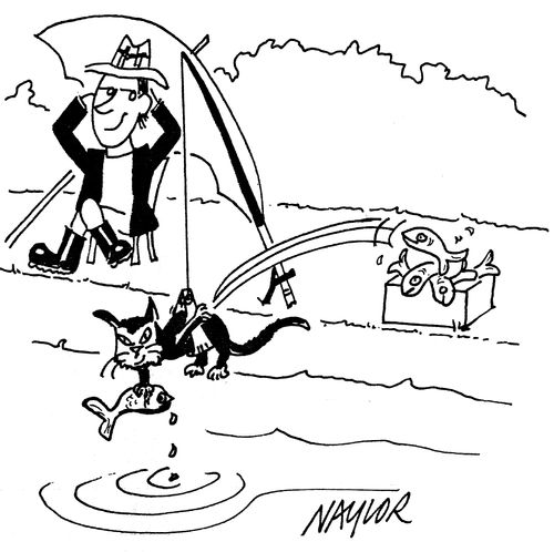 Man with cat on the end of fishing rod, catching fish.