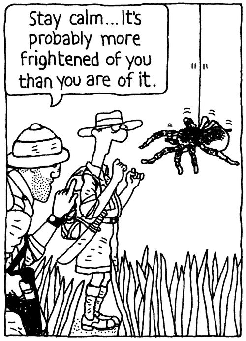 'Stay calm... It's probably more frightened of you than you are of it.'
