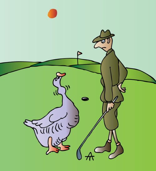 A goose loose on the golf course.