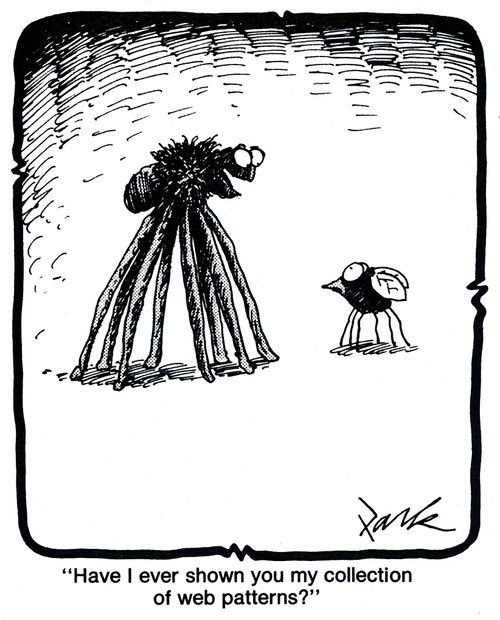 'Have I ever shown you my collection of web patterns?'