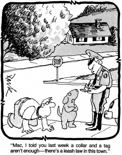 'Mac, I told you last week a collar and a tag aren't enough - there's a leash law in this town.'