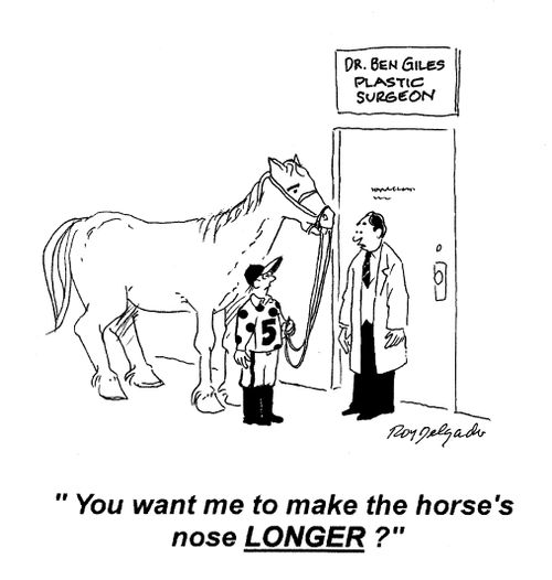 'You want me to make the horse's nose LONGER?'