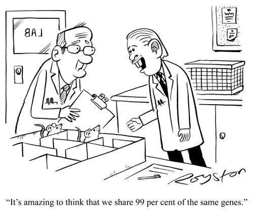 Scientist resembles mouse. He says: 'It's amazing to think that we share 99 per cent of the same genes.'