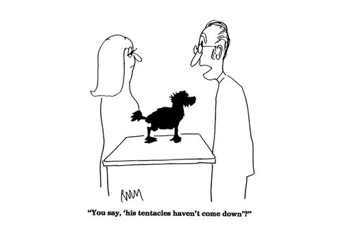 'You say, 'his tentacles haven't come down'?'