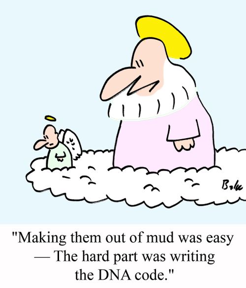 'Making them out of mud was easy - The hard part was writing the DNA code.'