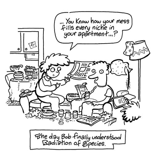 The day Bob finally understood radiation of species.