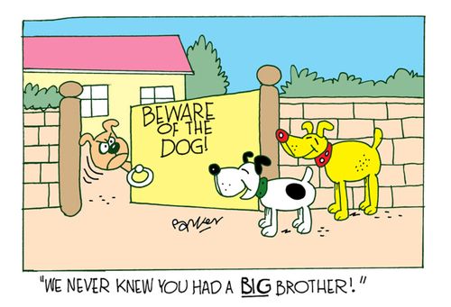 'We never knew you has a BIG brother!'