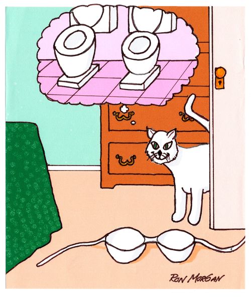 Cat mistakes bra for toilet.