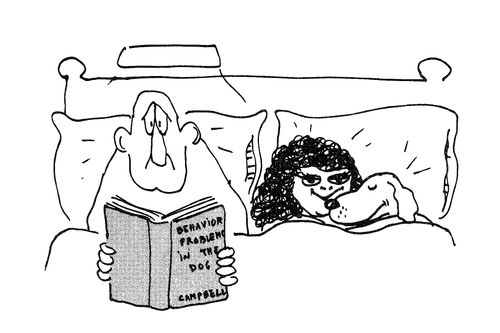 Dog in the Bed.