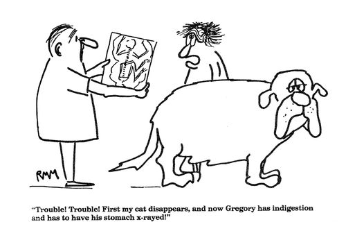 'Trouble!  Trouble!  First my cat diappears, and now Gregory has indigestion...'