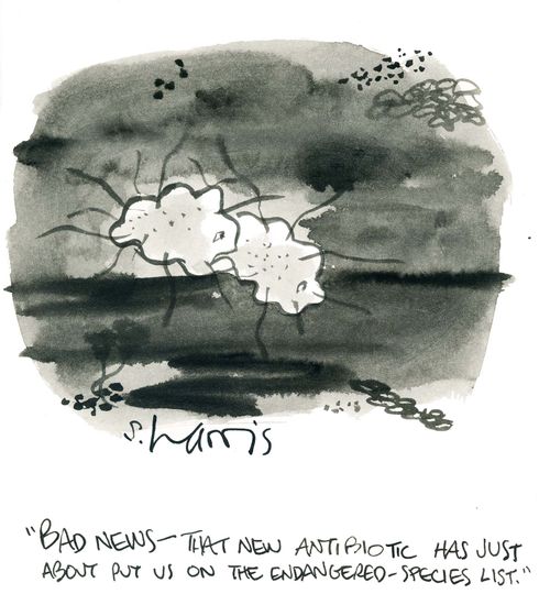 'Bad news - that new antibiotic has just about put us on the endangered-species list.'