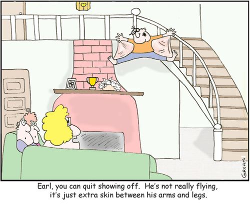 '...he's not really flying it's just the extra skin between his arms and legs.'