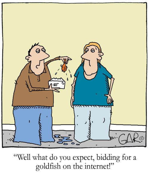 'Well what do you expect, bidding for a goldfish on the internet!'