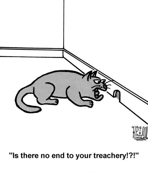 'Is there no end to your treachery!?!' (cat to mouse hole)