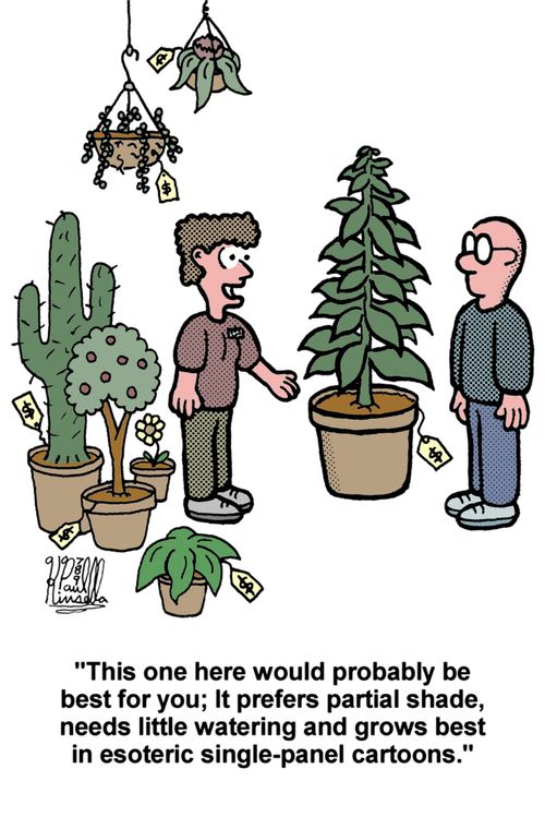 'This one here would probably be best for you; It prefers partial shade, needs little water and grows best in esoteric single-panel cartoons.'