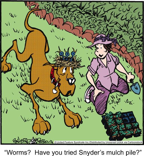 'Worms? Have you tried Snyder's mulch pile?'
