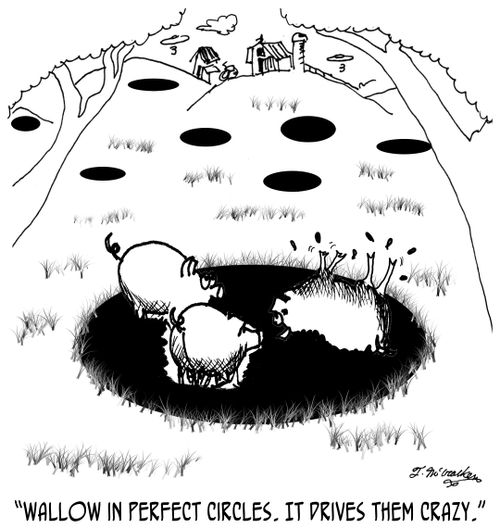 'Wallow in perfect circles. It drives them crazy.'