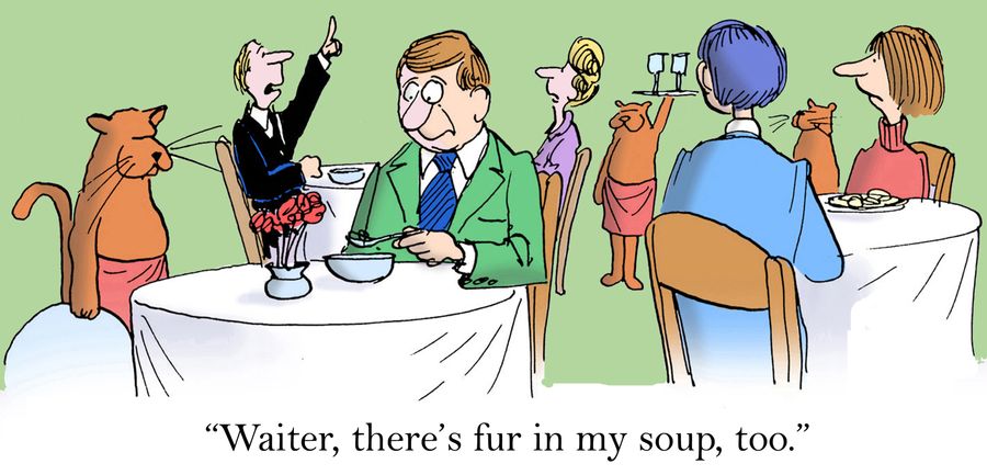 'Waiter, there's fur in my soup, too.'