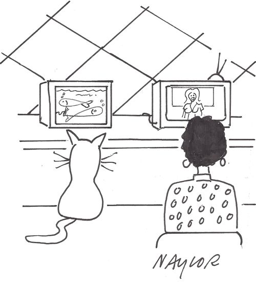 Woman watching TV while her cat watches an aquarium.