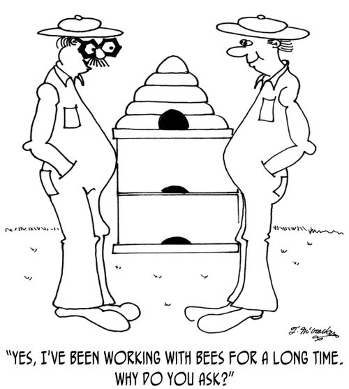 'Yes, I've been working with bees for a long time. Why do you ask?'