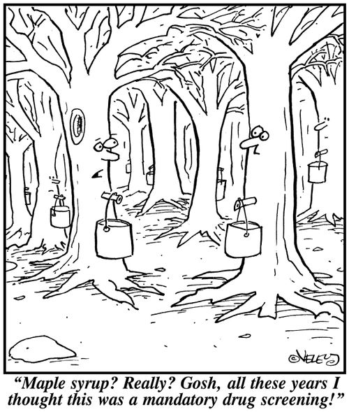 'Maple syrup? Really? Gosh, all these years I thought this was a mandatory drug screening!'