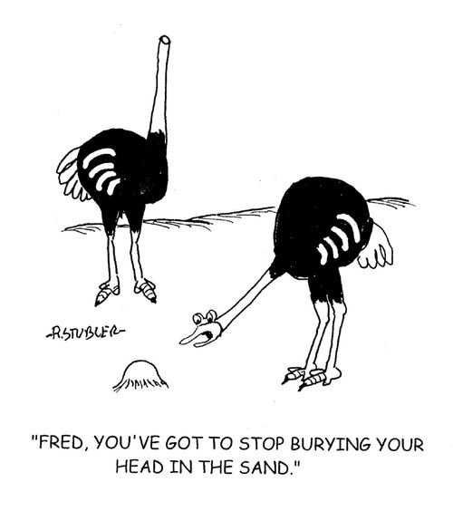 'Fred,you've got to stop burying your head in the sand.'